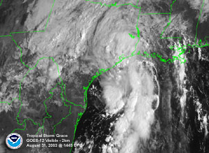 Click Here for a satellite image of Tropical Storm Grace near the Texas coast on August 31, 2003