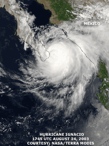Click Here for a satellite image of Huricane Ignacio on August 25, 2003